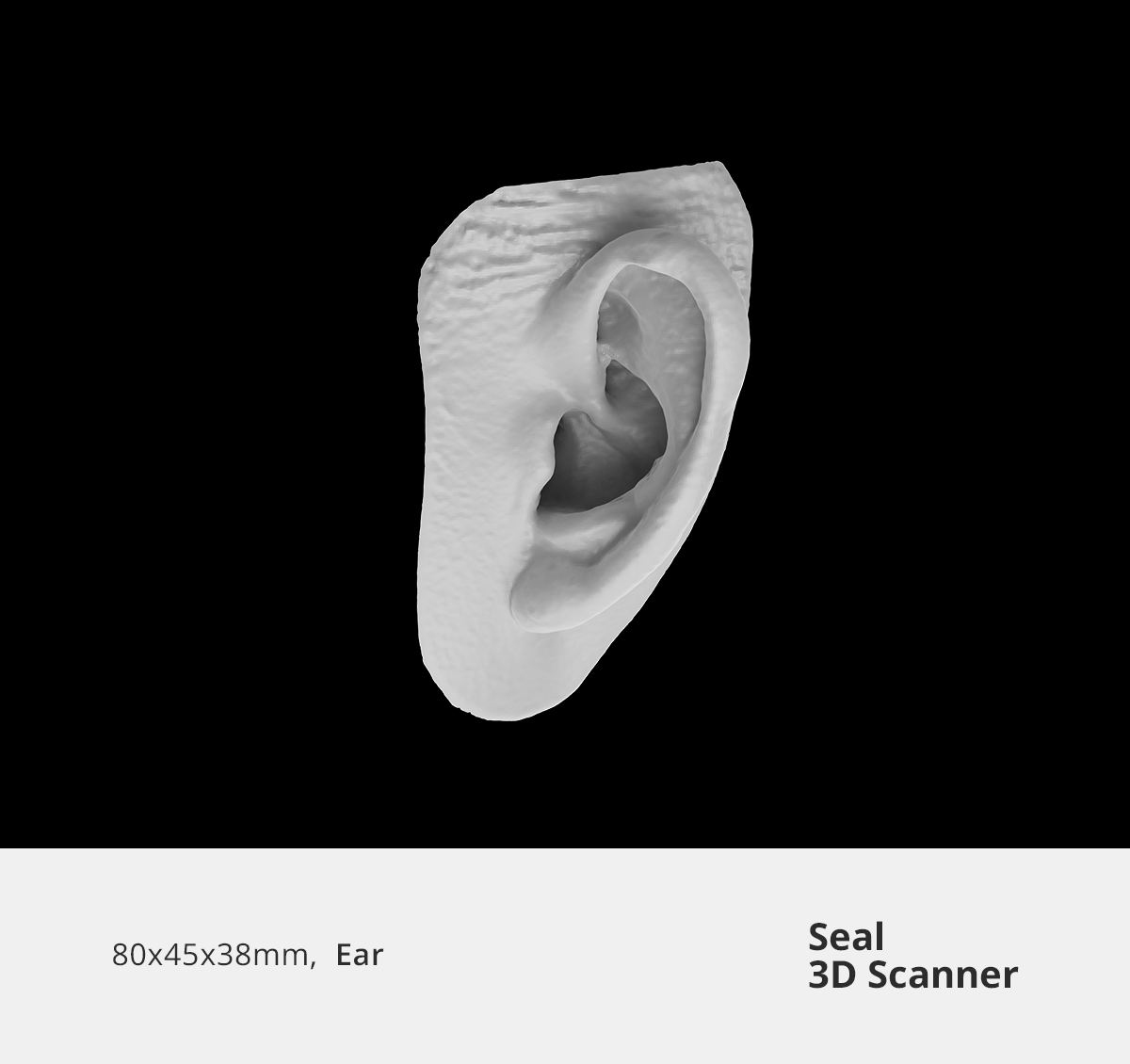 3dmakerpro eu store ear 3d model 